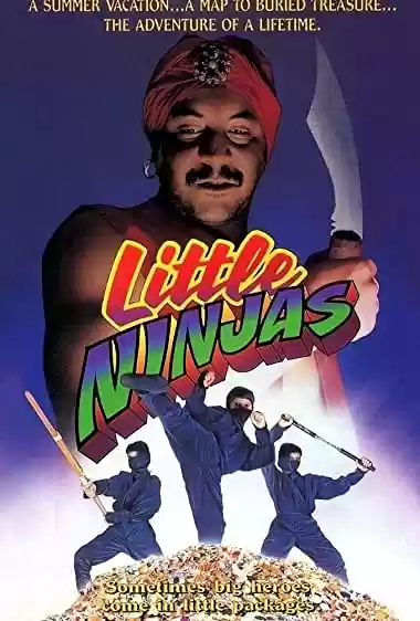 Download do filme: Os Pequenos Ninjas em Busca do Tesouro Sagrado