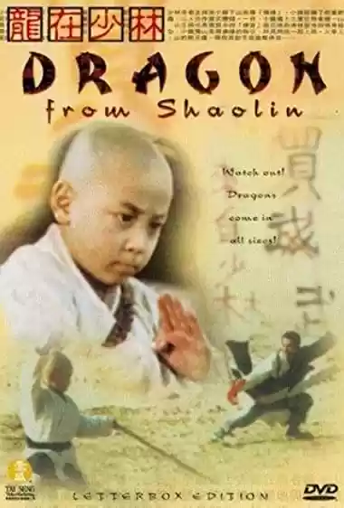 Filme Baixar: Long zai Shaolin - Torrent