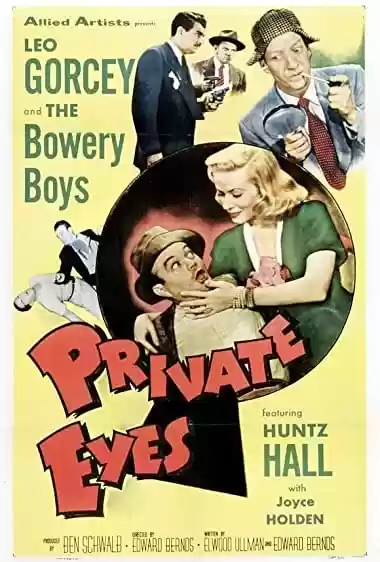 Filme Baixar: Private Eyes - Torrent